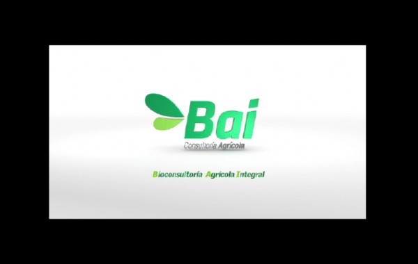 BAI