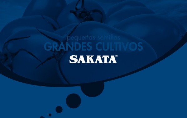 SAKATA – Pequeñas semillas