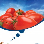 01 Sakata-Tomate-40X60-low