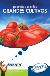 01 Sakata-Tomate-40X60-low