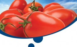 01 Sakata-Tomate-40X60-low