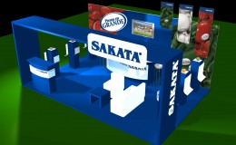 03 Sakata-Irap2011