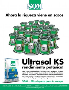 04 RevistaKS